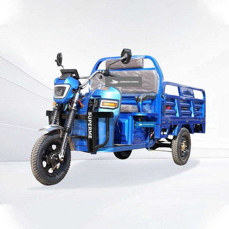 HORIZON HAWK Electric Cargo Tricycles