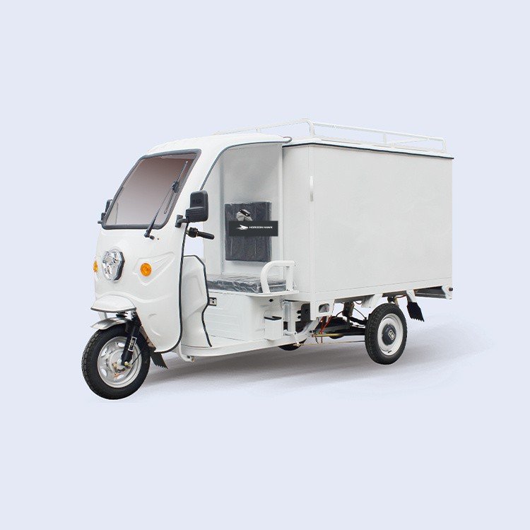 HORIZON HAWK Enclosed Cargo Tricycles