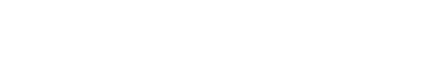 HORIZON HAWK