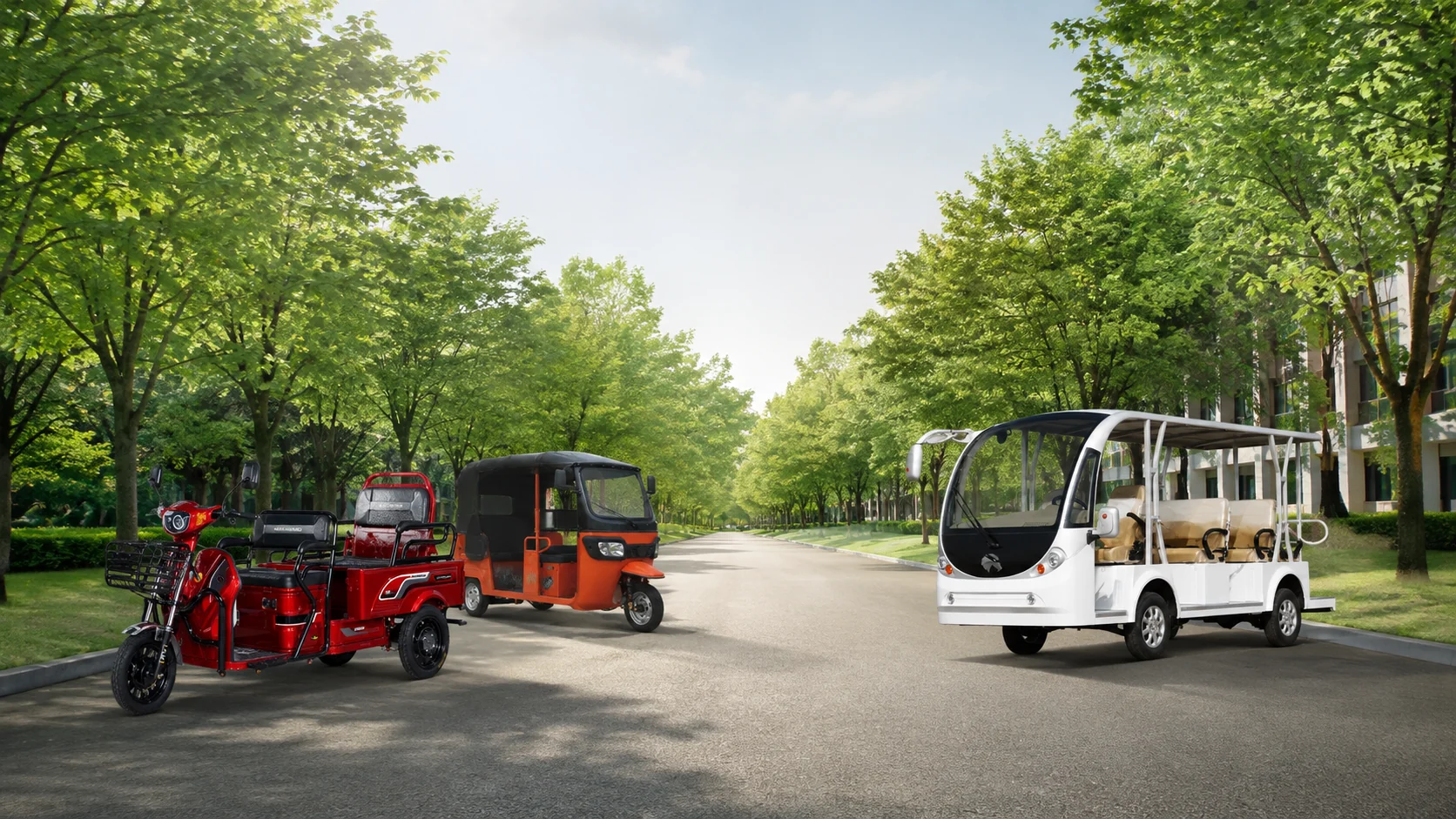 Scenic Area Transport